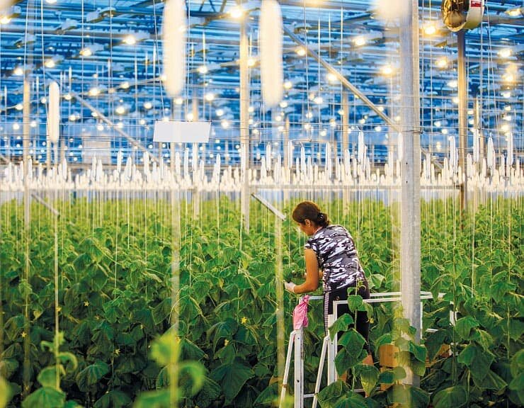 фото из архивов МСК "БЛ ГРУПП"