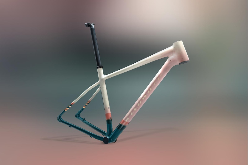 Specialized Chisel LTD Earth