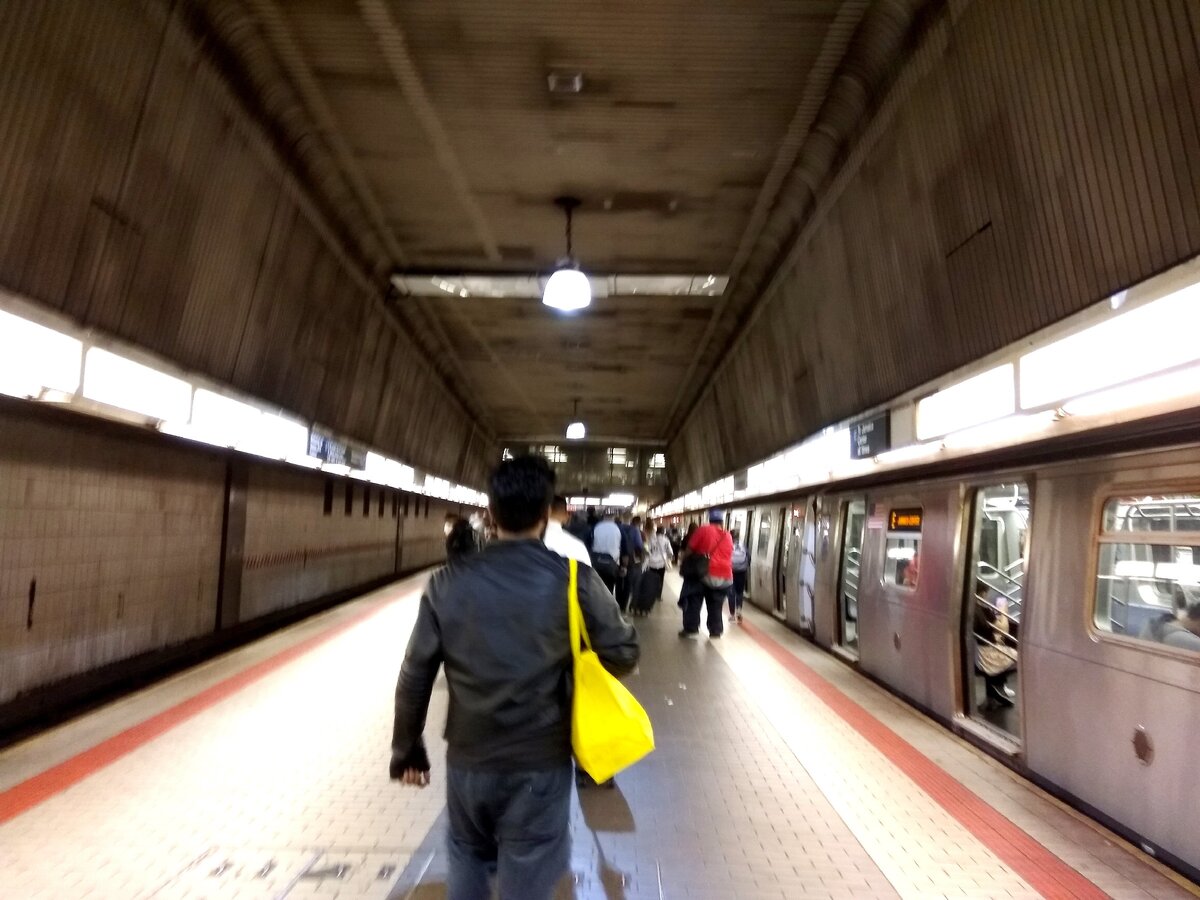 Успела-таки добежать. Фото автора.