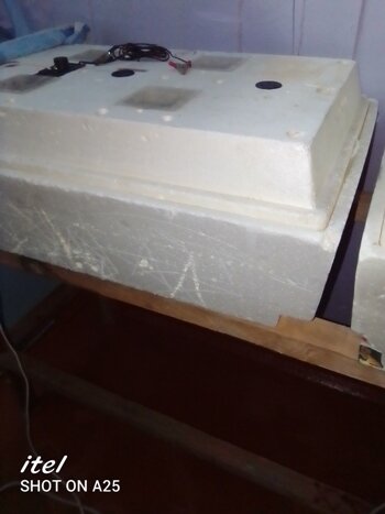 инкубатор "Золушка"