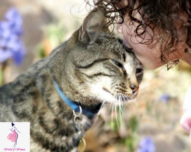 Фото с сайта https://worldofwomen.club/