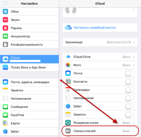 Фото: Функция «Связка ключей» в iPhone