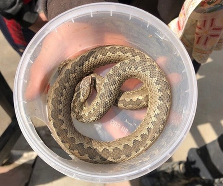 Фото: Оксана Харина