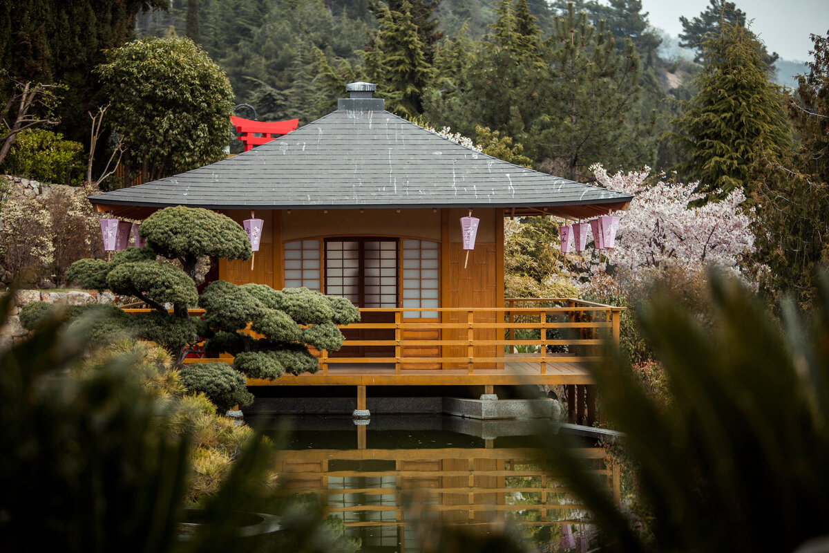 Японский сад, Айвазовское, Партенит, Крым