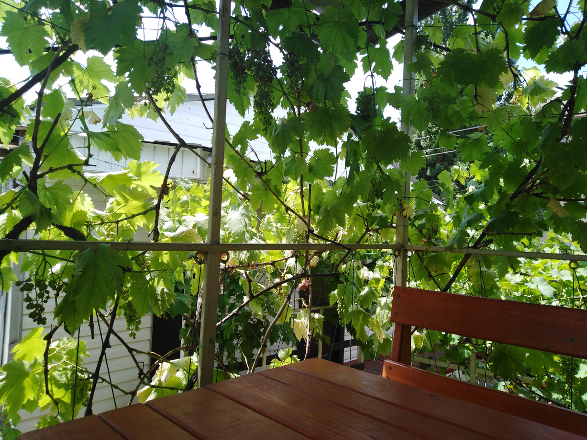 Место, где я поселился (тот самый магазин находится в 2 минутах ходьбы)