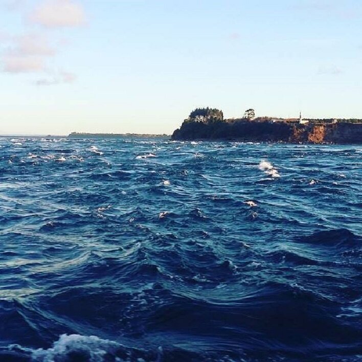 Марко путешествовал по югу Чили