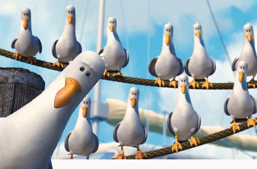 Первая ассоциация с сочинскими зазывалами - это чайки из мультика "Немо"