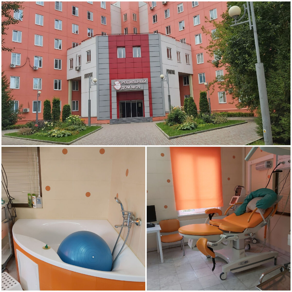 Родильный дом 29