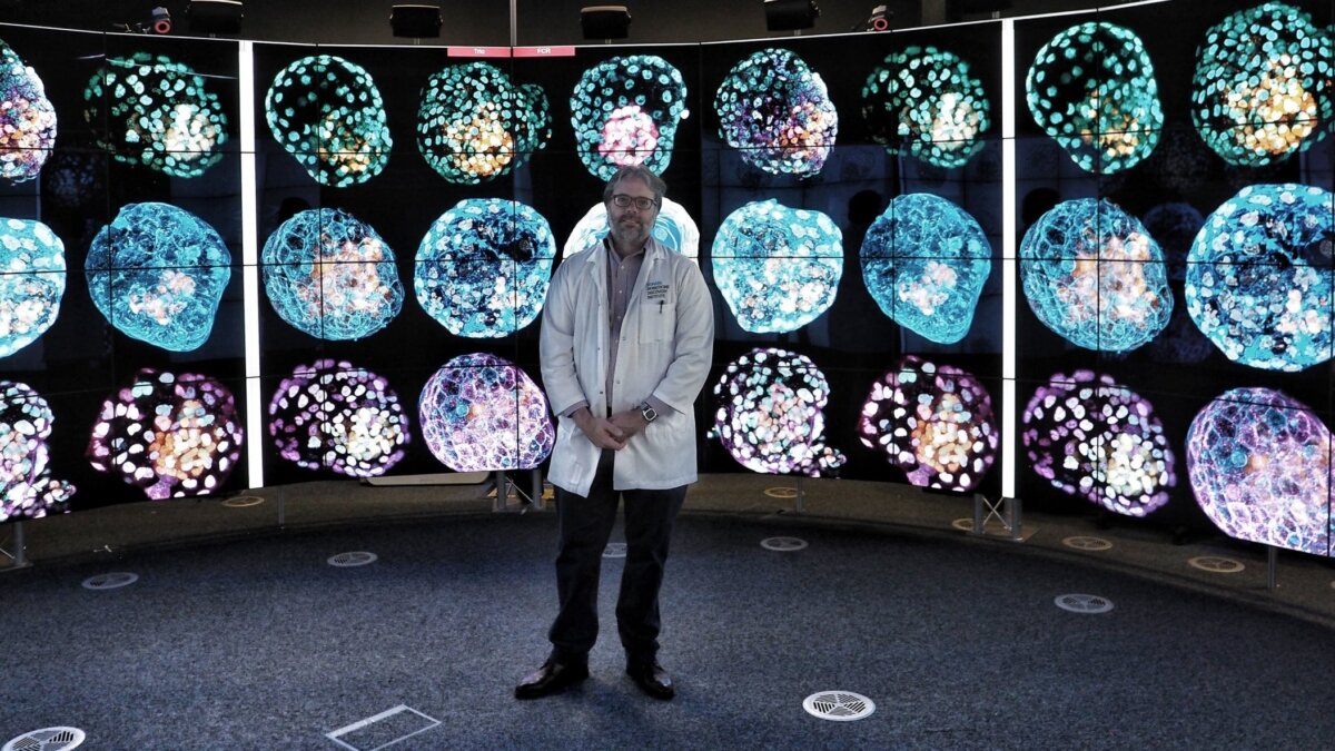 Фото: inews.co.uk