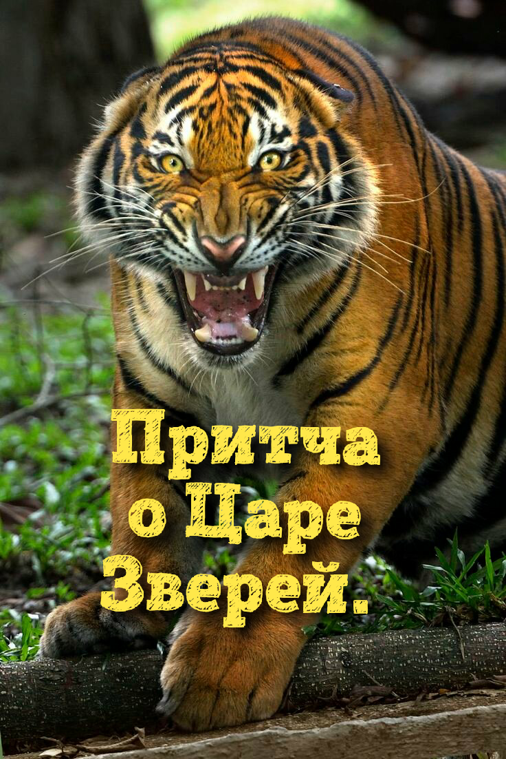Коллаж Автора. 