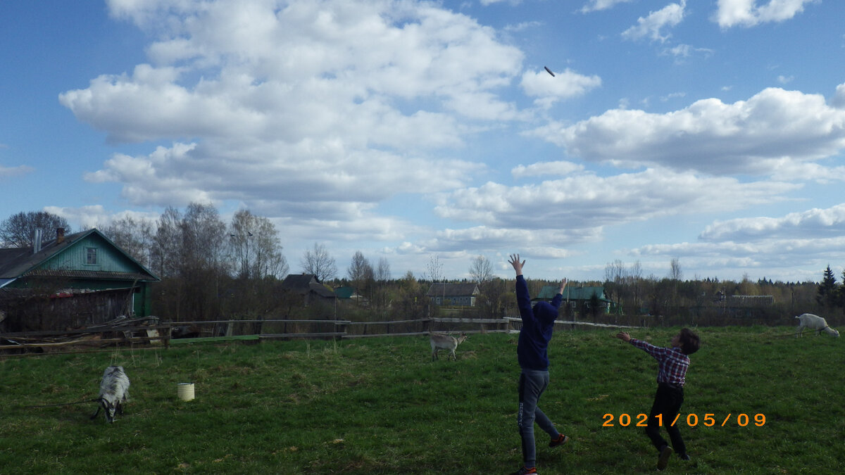 Вот  осталось только разобраться, как убрать дату с фотоаппарата?