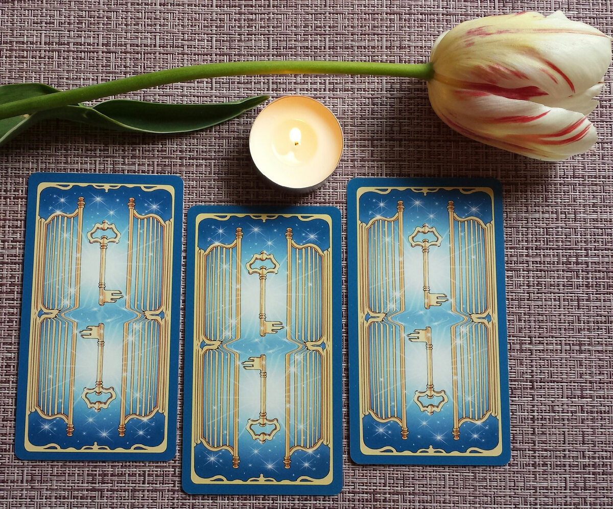 Выбор варианта: 1, 2, 3