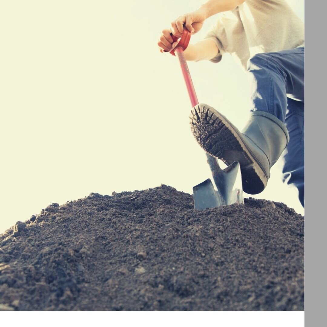 Дизайн выполнен в редакторе Canva