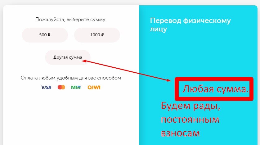 после перехода по ссылке - "донат по ссылке" откроется окошко. Будем рады любой сумме на развитие канала и портала.