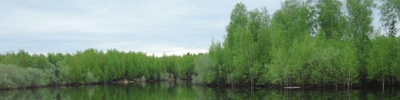 Местная зелень, прошлогодний снимок, есть вода, есть лес и уже хорошо...