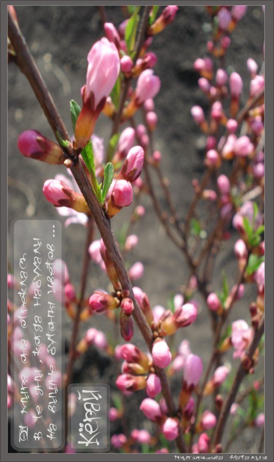 фото и обработка автора