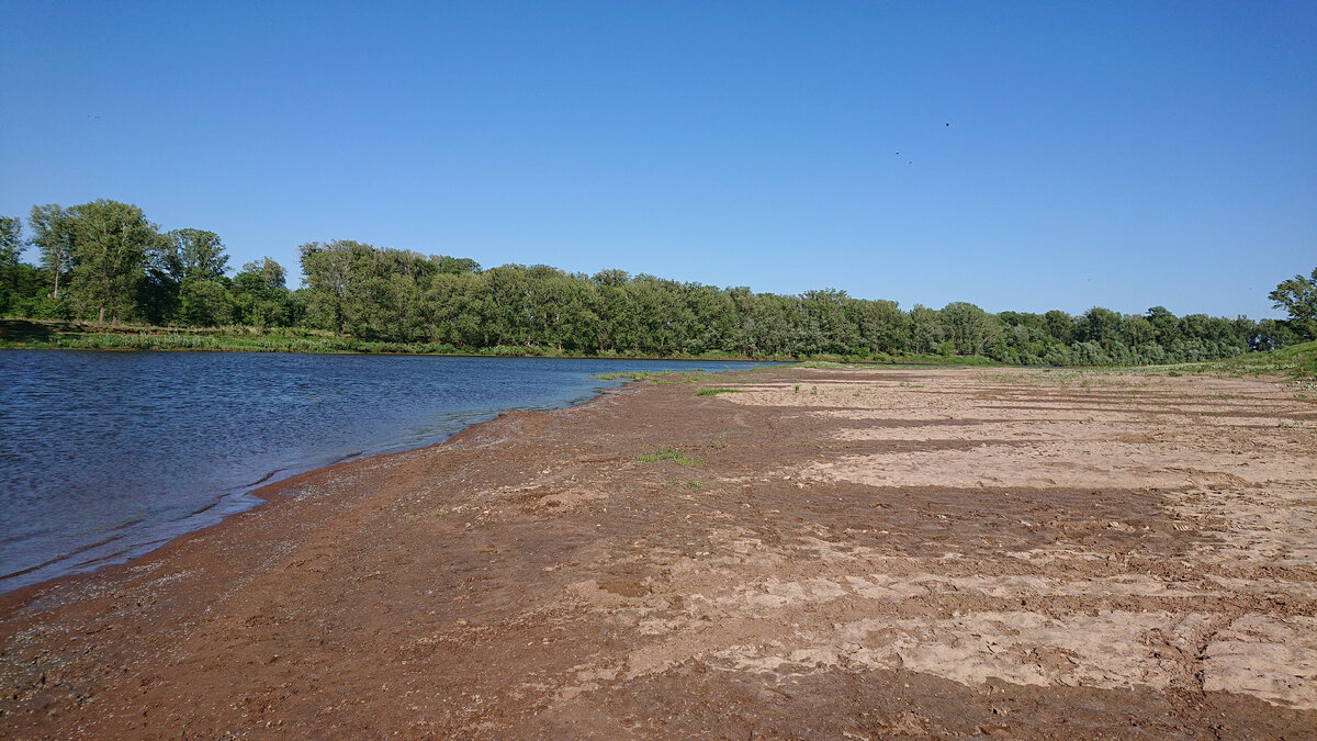 Река Белая, район с.Прибельский