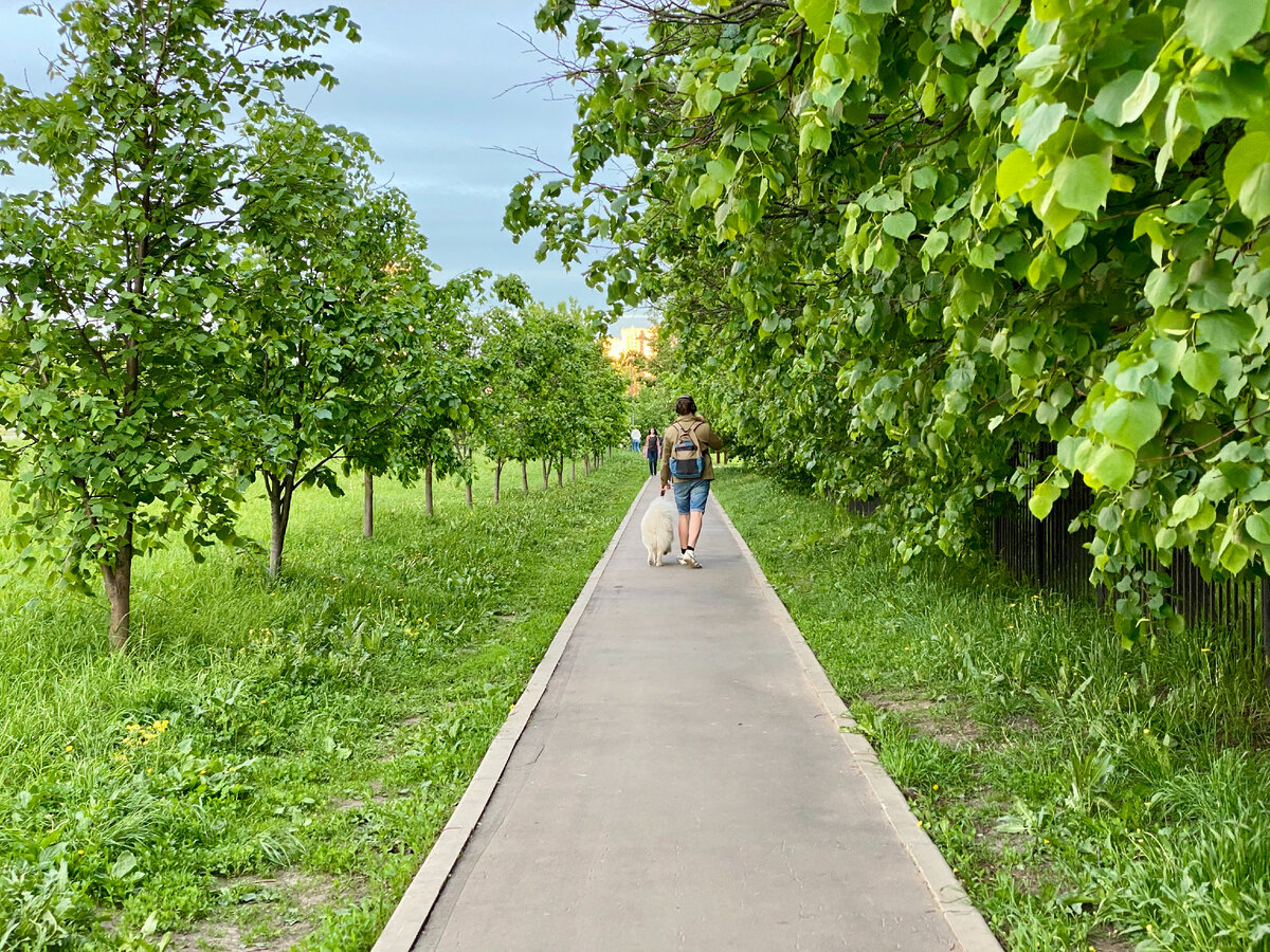 Дорожка, ведущая в парк (фото автора)