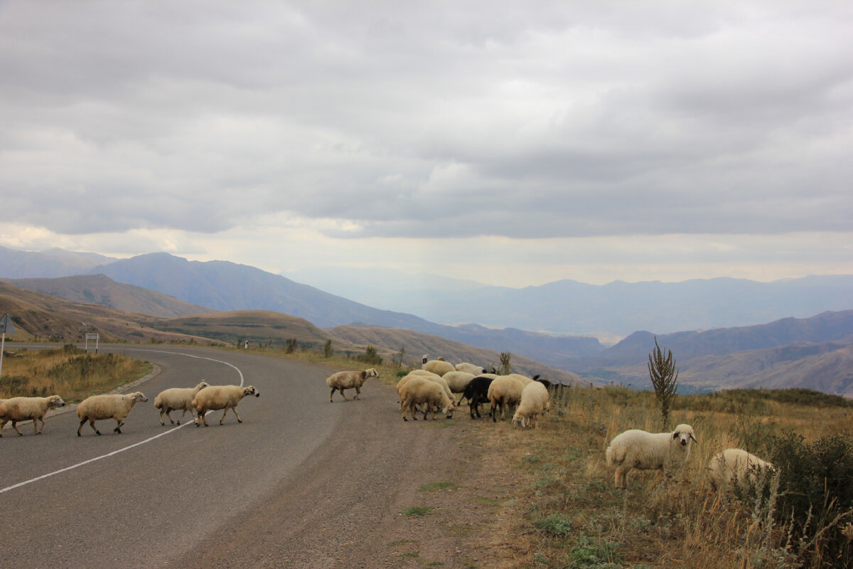 В наши дни Селимский перевал называют перевалом Варденяц.