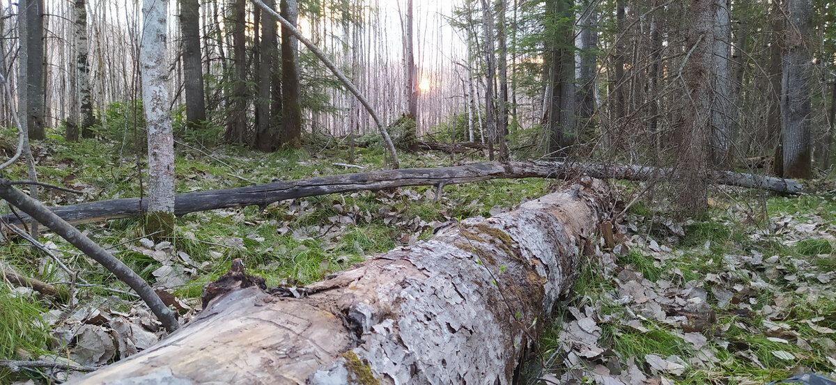 Если выбирать между такими закатами и серыми хрущевками, что выберете вы?