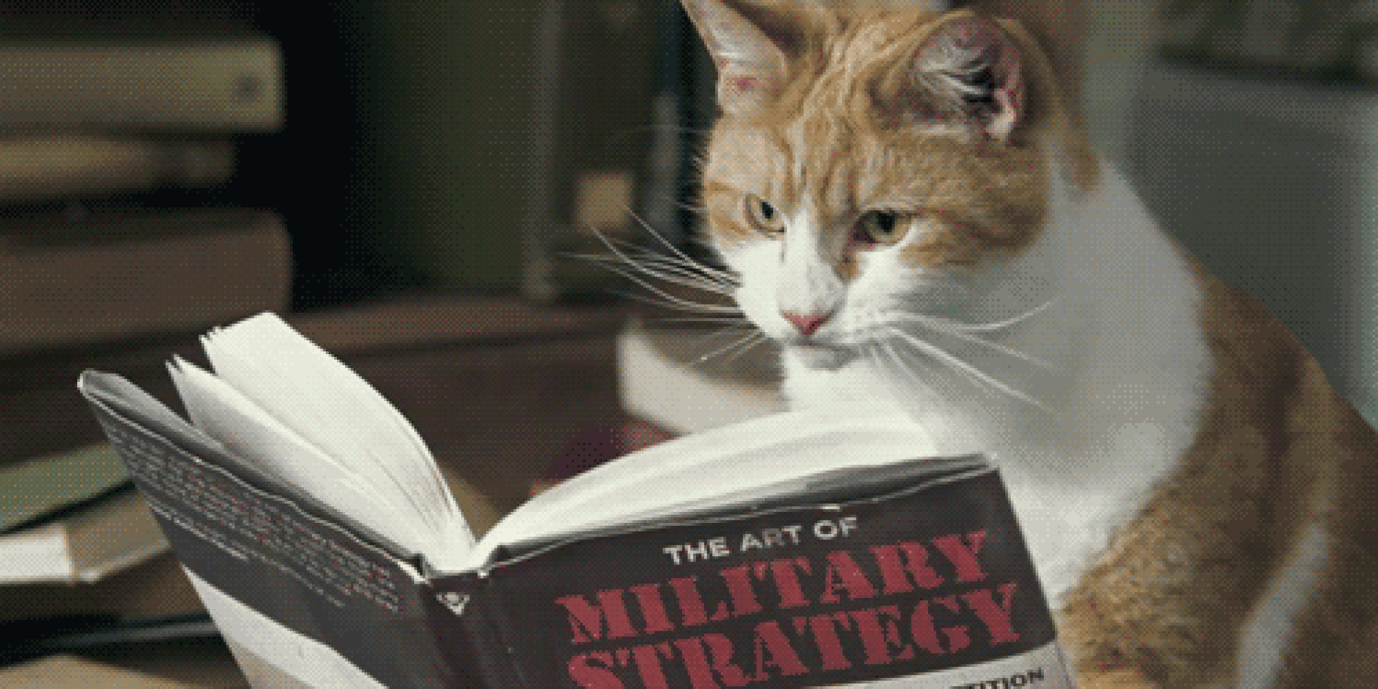 Оказывается чтение может продлить жизнь.