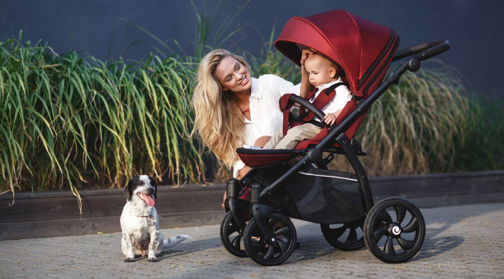 Источник фото: Яндекс.Картинки