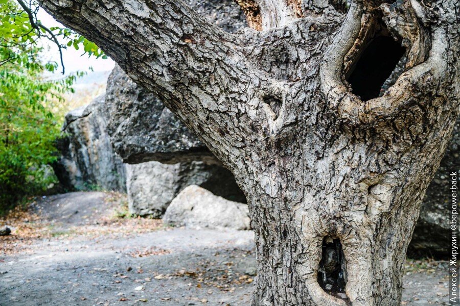 Где в Крыму снимали фильм "Кавказская пленница". Показываю места ...