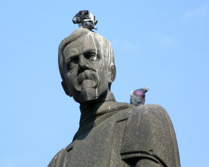Проблемы птичьего туалета: Как устроено их пищеварение, и почему памятникам так «не везёт»?4