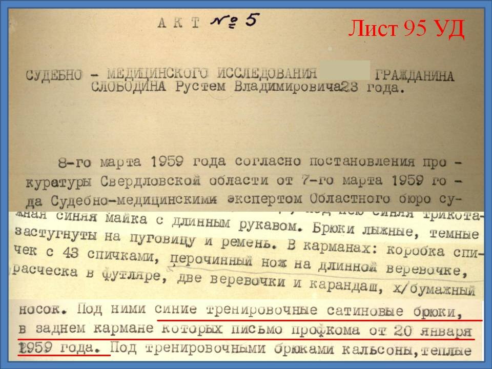 Фрагмент фото выполнен по фото, представленным на сайте hibinaud