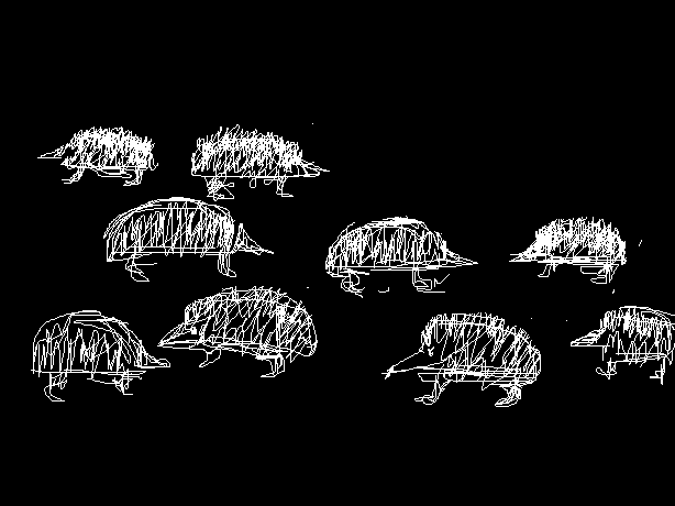  Ночное  движение.    Рисунок  автора .