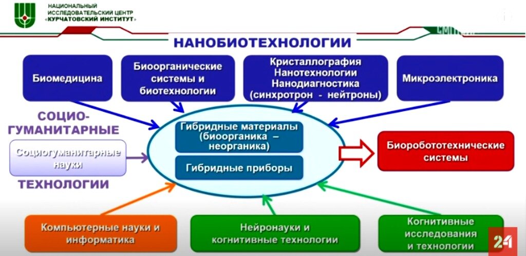 Что такое природоподобные технологии. Природоподобные (конвергентные) технологии. Природоподобные технологии. Природоподобные технологии примеры воплощения.