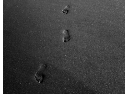 бесплатные стоковые фото