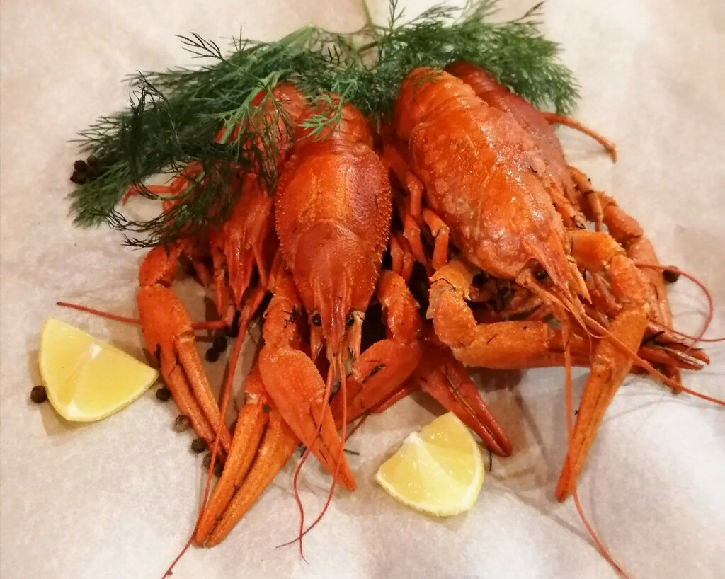 Фото из свободных источников.