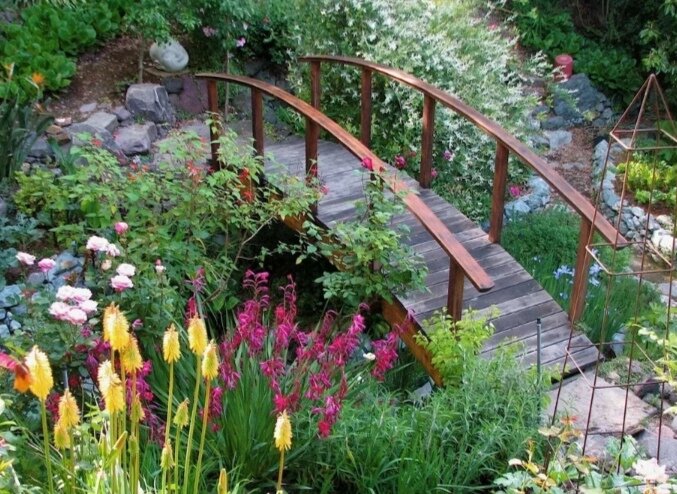 Фото из открытых источников 