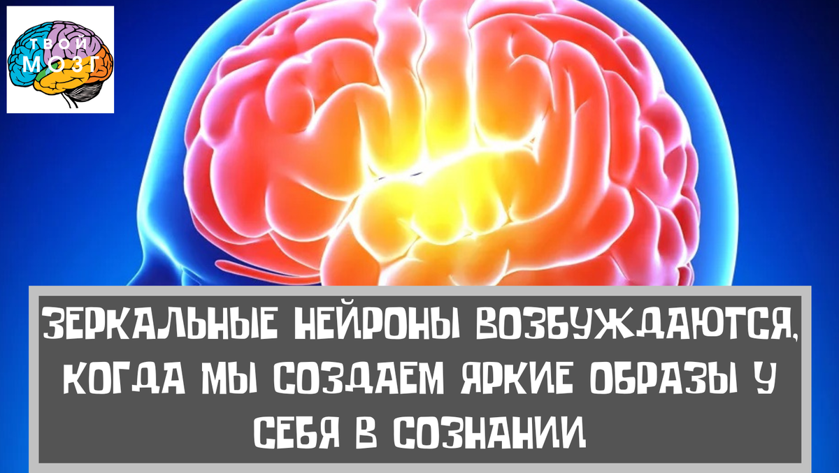 Принцип действия зеркальных нейронов при использовании ярких образов в вашем сознании.