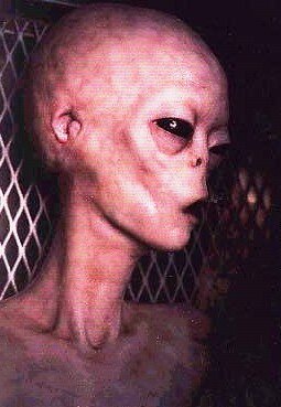 Автор https://alien-ufo-research.com/alien_pictures/
