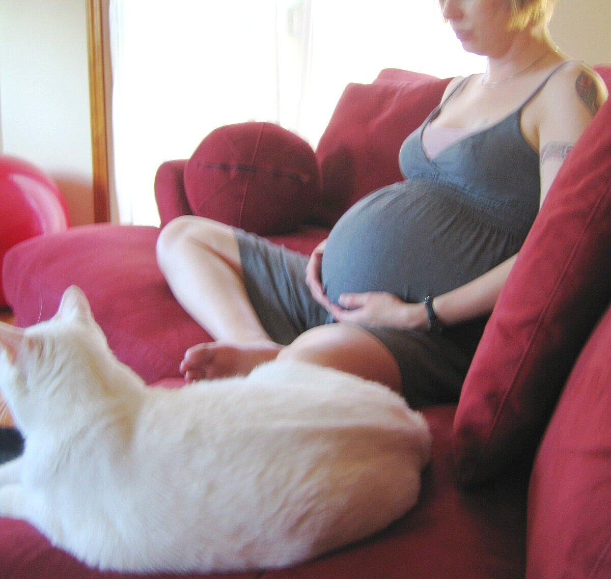 Фото: Kris/Flickr
