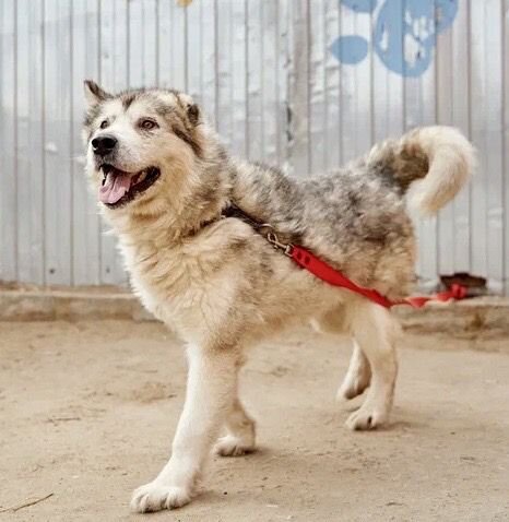 девочка  ждет семью 