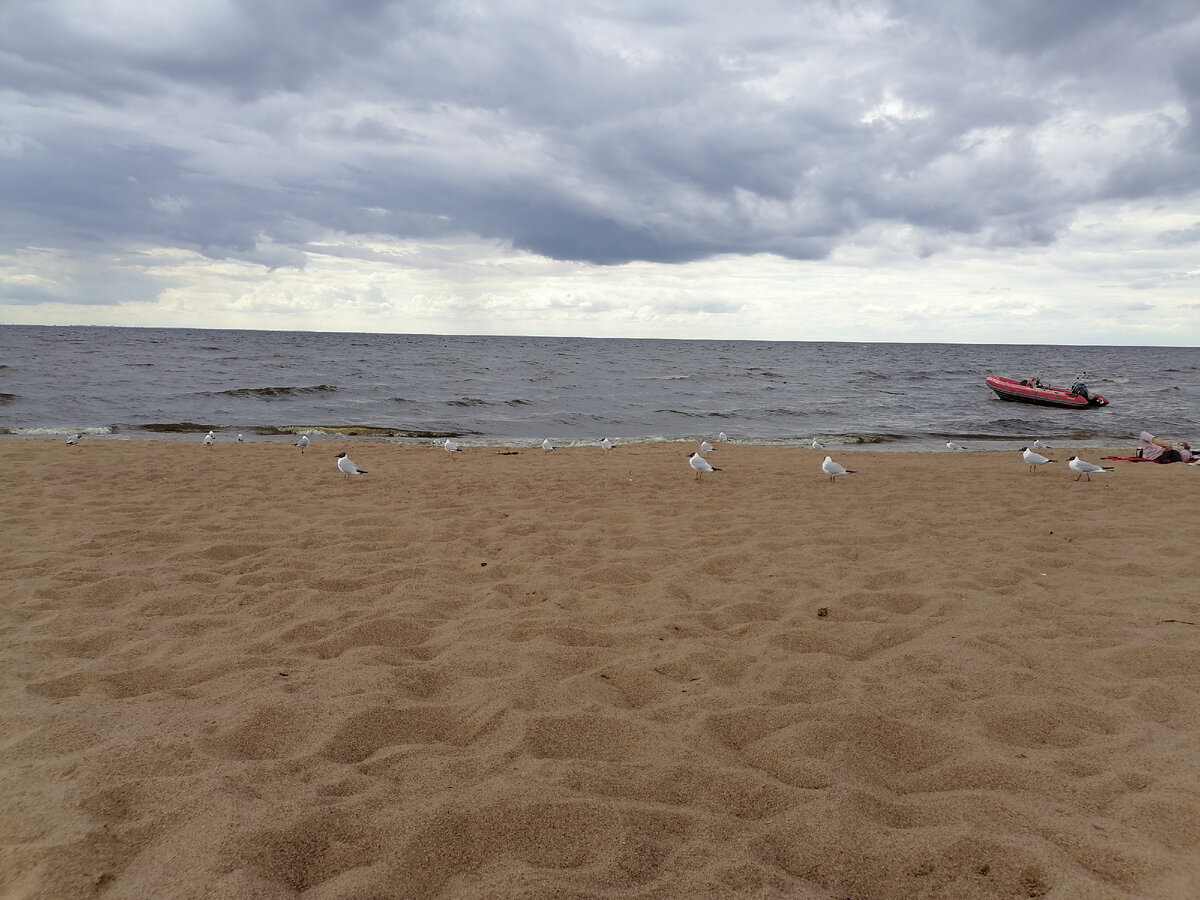 Зеленогорск Санкт-Петербург море