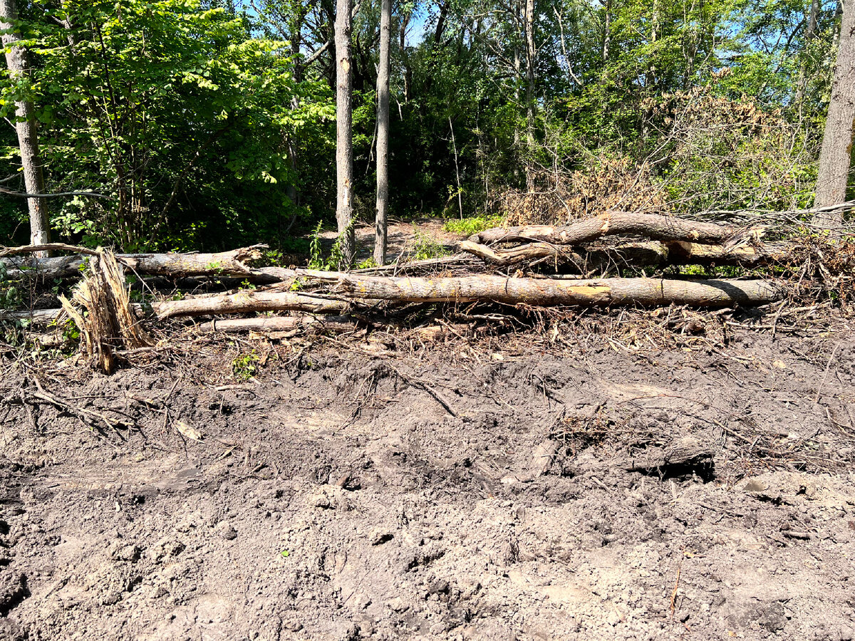 Отвратительное зрелище