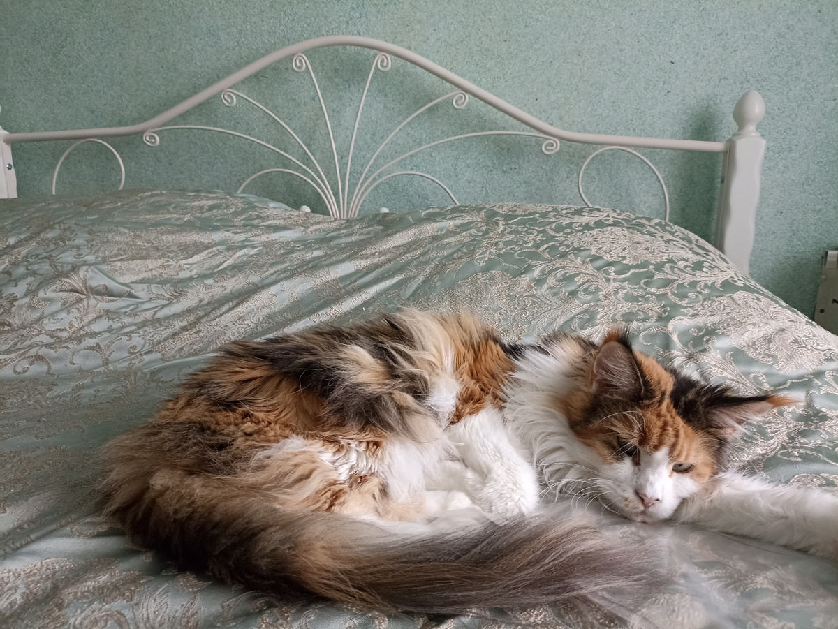 Так самая кровать, полученная из золота. 