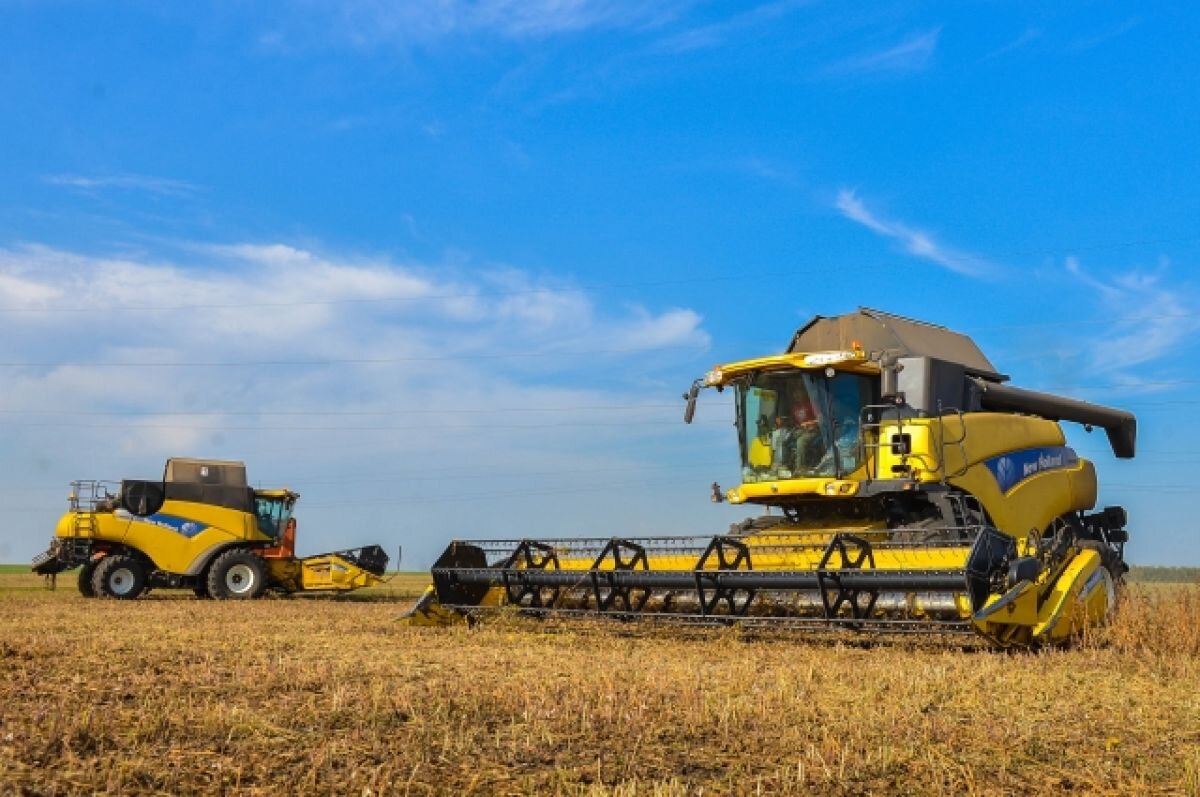   Эксперт рассказал, повлияют ли санкции на развитие сельского хозяйства в РФ