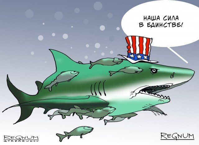   США и компания Александр Горбаруков © ИА REGNUM