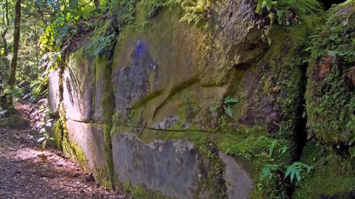 Изображение взято из открытого источника