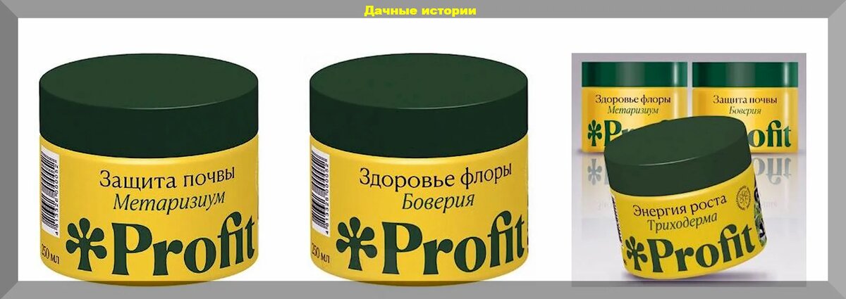 https://vk.com/photo-159774511_457255915