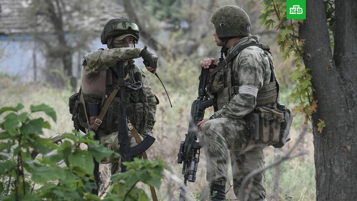    Фото: РИА Новости © 2022, Константин Михальчевский