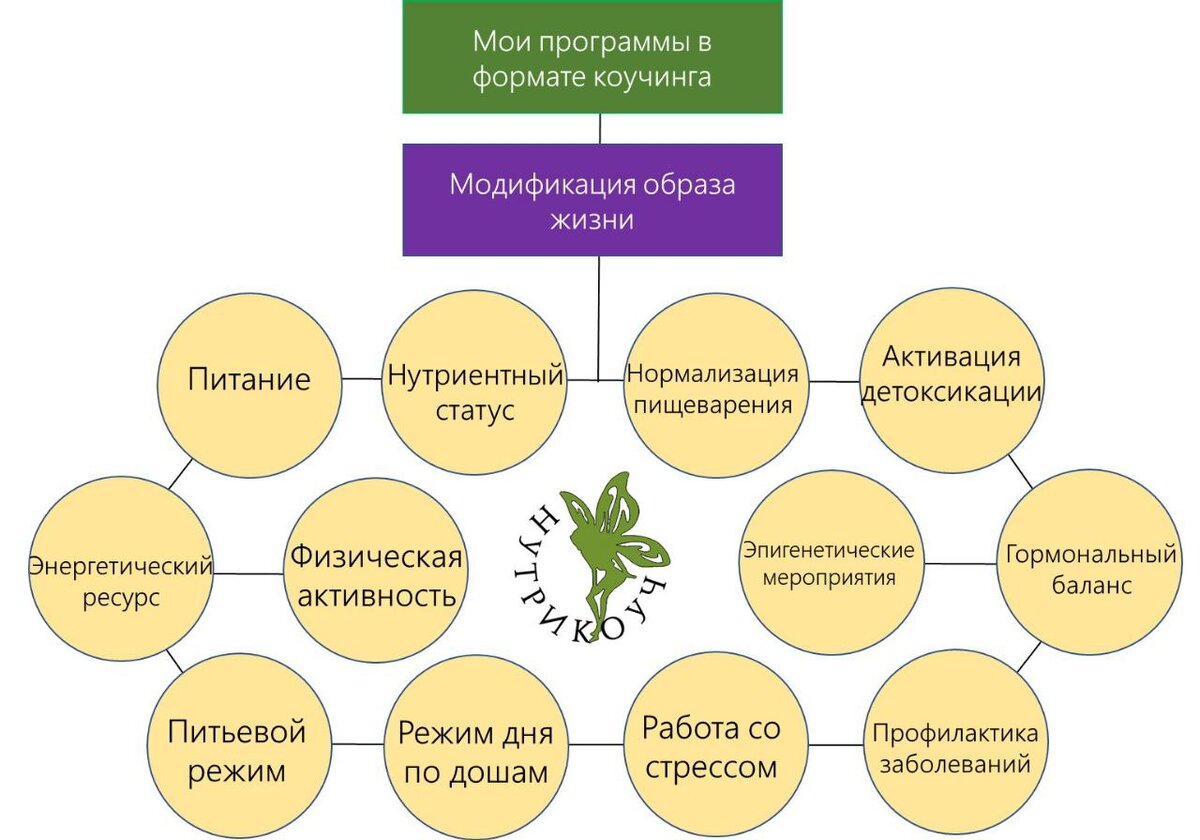 Каждая моя Программа – всегда комплекс мероприятий, последовательный и систематизированный