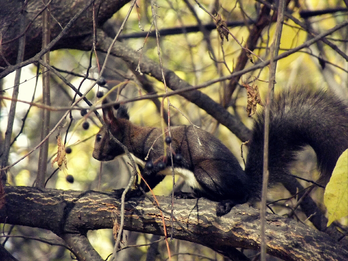 фото автора 