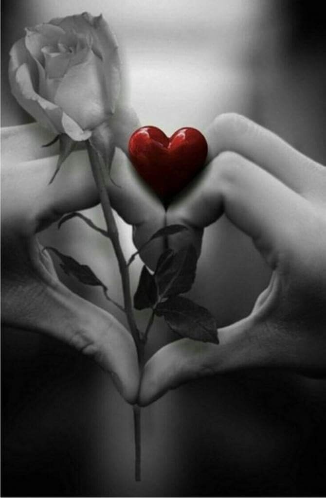 Картинка взята на просторах интернета 