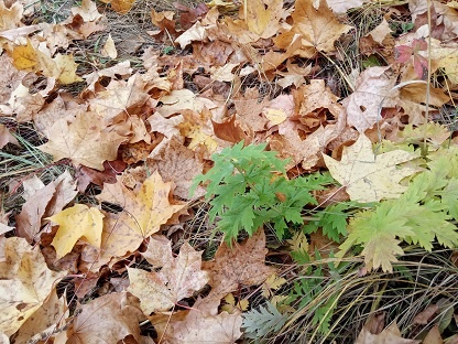 Фотография из личного архива автора
